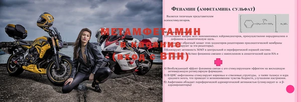 PSILOCYBIN Майский