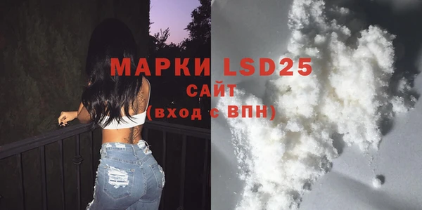 шишки Медвежьегорск