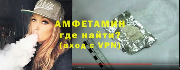 шишки Медвежьегорск