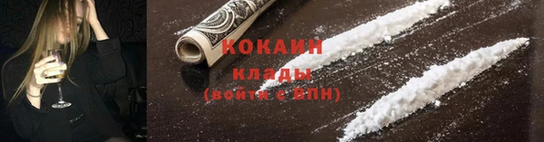шишки Медвежьегорск