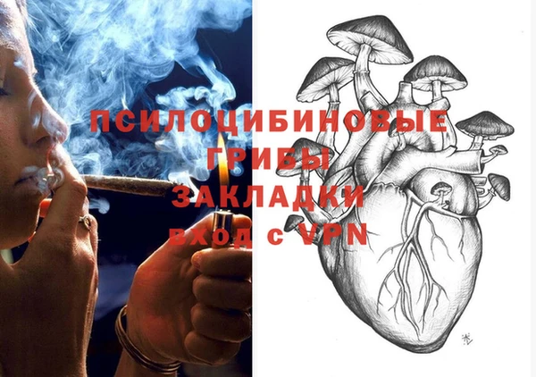 прущий лед Магас