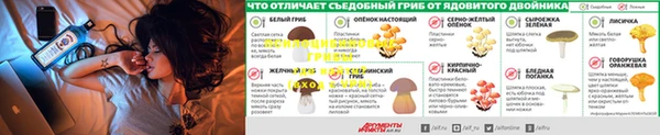 первитин Медногорск
