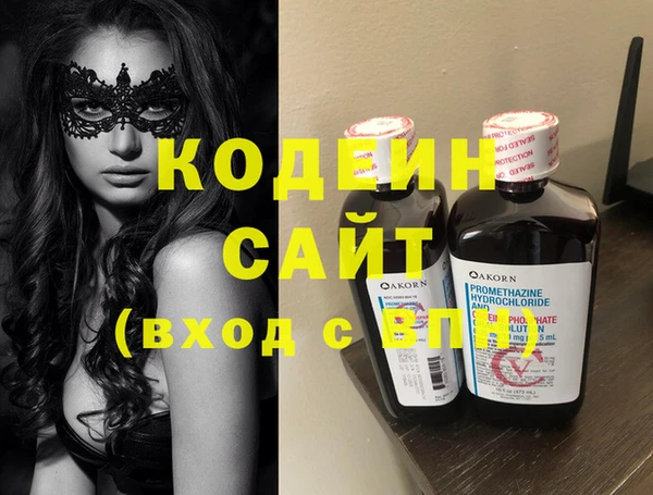 шишки Медвежьегорск