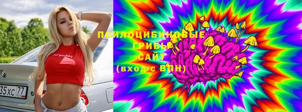 прущий лед Магас
