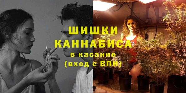 шишки Медвежьегорск