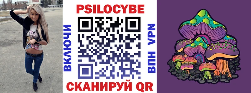 Купить  Истра  Псилоцибиновые грибы прущие грибы 